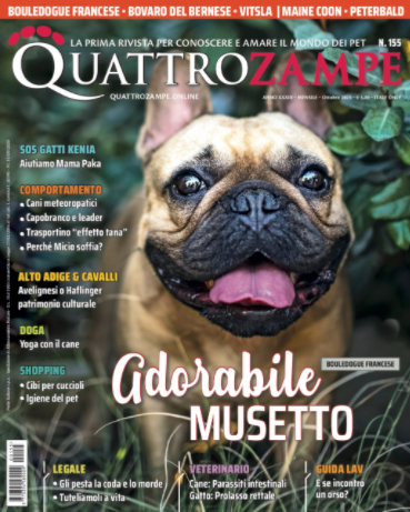 Weekend di benessere | QUATTROZAMPE