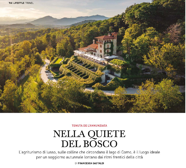 WALL STREET ITALIA - Nella quiete del bosco...